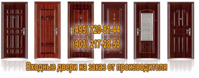 Двери входные металлические с домофоном Двери входные металлические с домофоном
