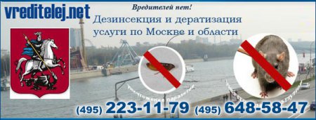 Как вывести блох в квартире Как вывести блох в квартире