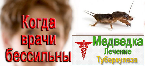 Устойчивость туберкулёза к лекарствам Устойчивость туберкулёза к лекарствам